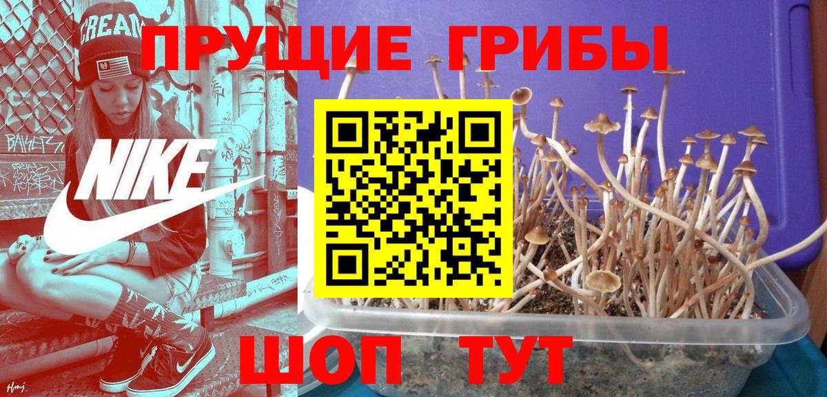 Галлюциногенные грибы Psilocybine cubensis  наркотики  Городец  Галлюциногенные грибы мухоморы  Вход с VPN 