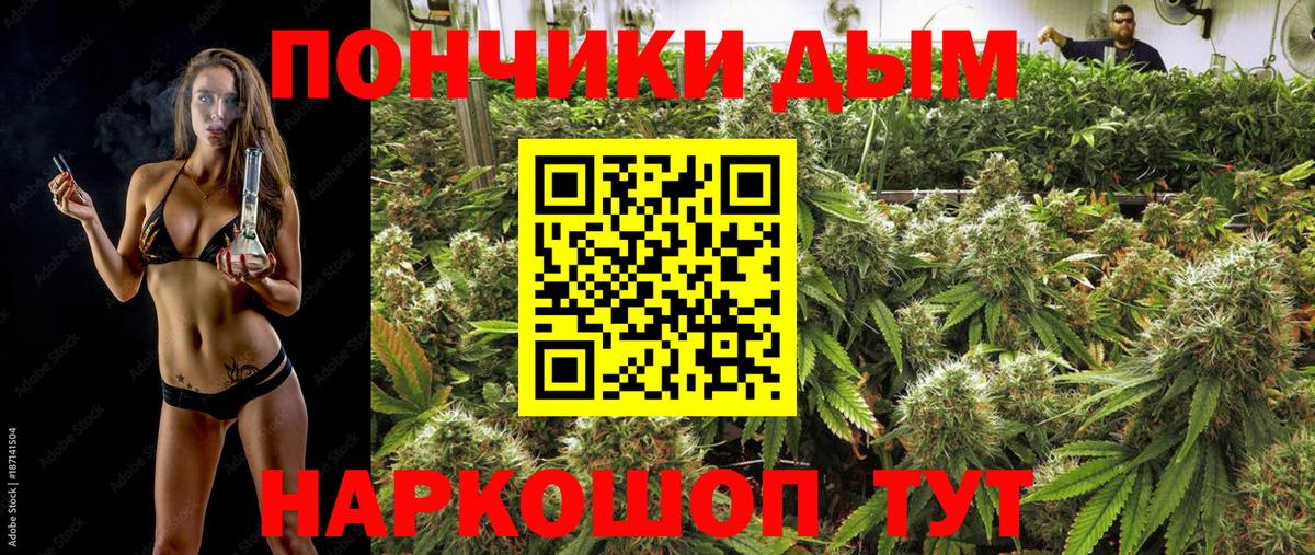 Шишки марихуана планчик Городец